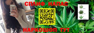герыч Гатчина