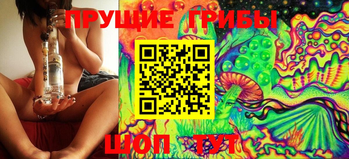 Псилоцибиновые грибы мицелий  Галлюциногенные грибы Psilocybe  Бийск  Вход с VPN 